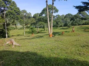 90 Acres of Farmland in Buikwe-Mukono
