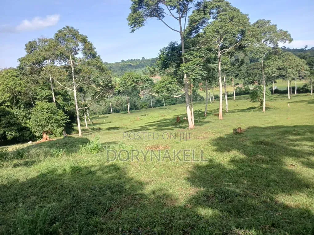90 Acres of Farmland in Buikwe-Mukono