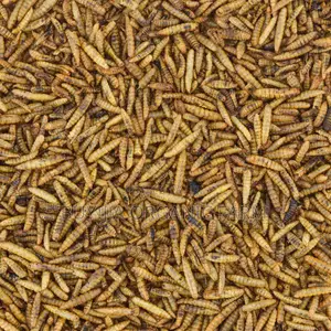 Buyijja Organic Farm – High-Protein Feed for Fish, Pigs, Poultry, Etc.