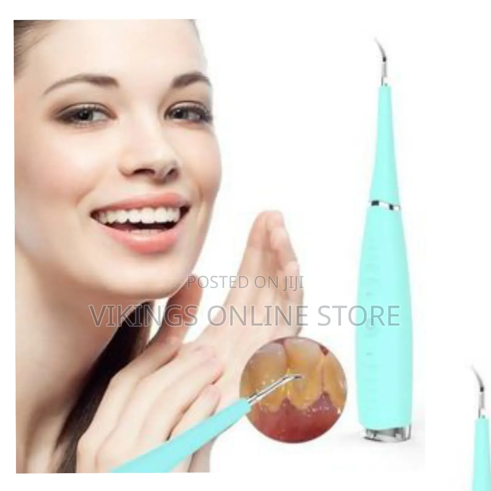 Electric Dental Calculus Remover