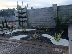 Rock Gardens, Rock Solid Beauty for Your Back Yard