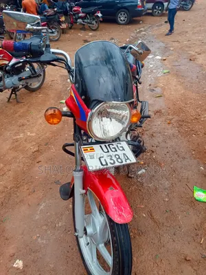 Bajaj CT 125X 2024 Red