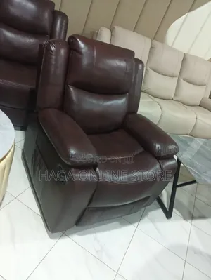 Ergonomic Health Support Recliner