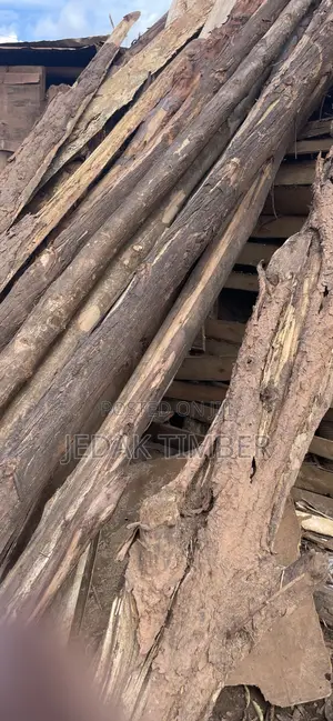 Kirundu for Construction