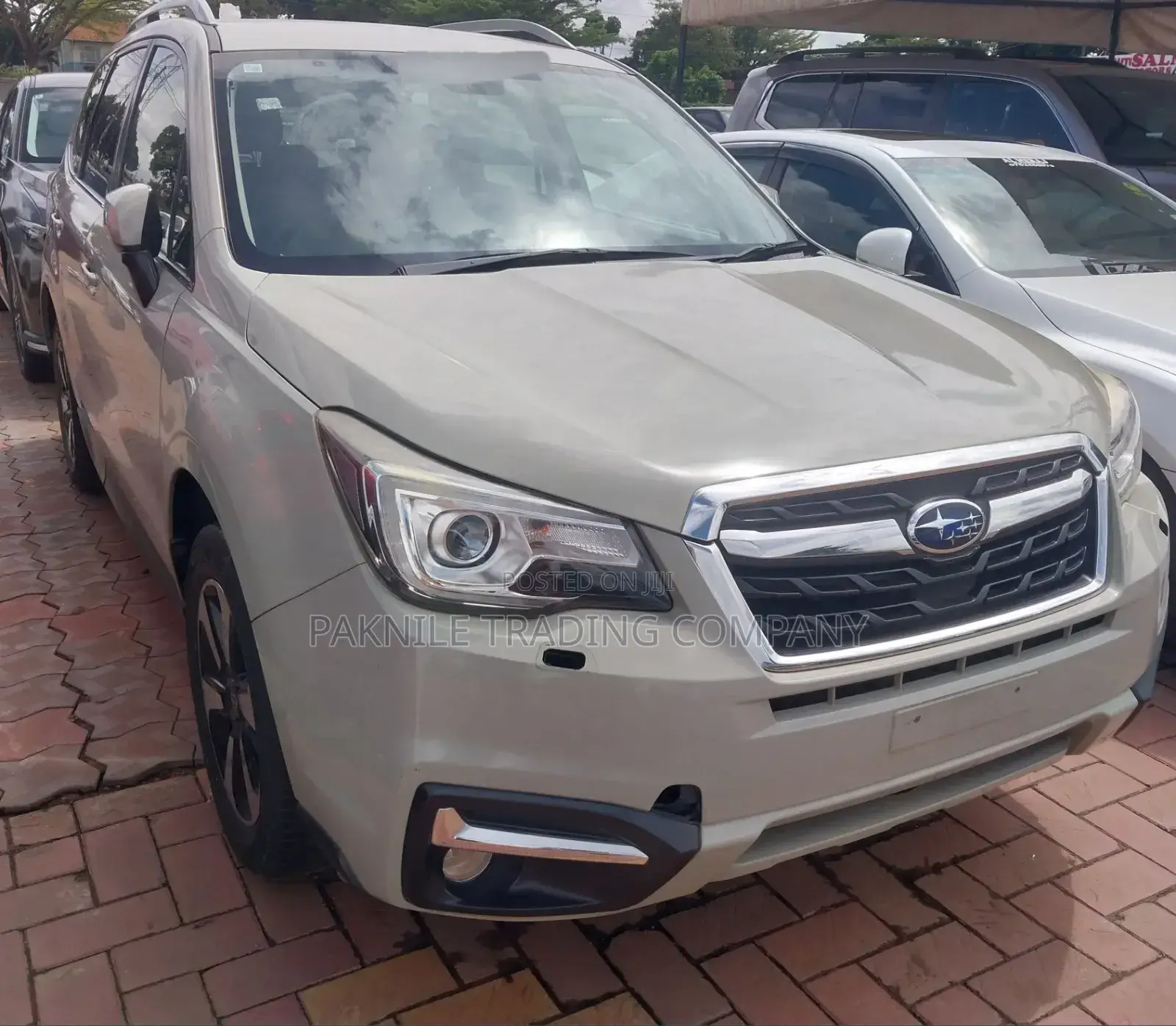 Subaru Forester 2016 Green