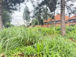 Land for Sal