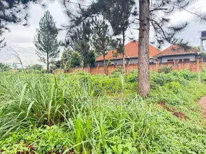 Land for Sal