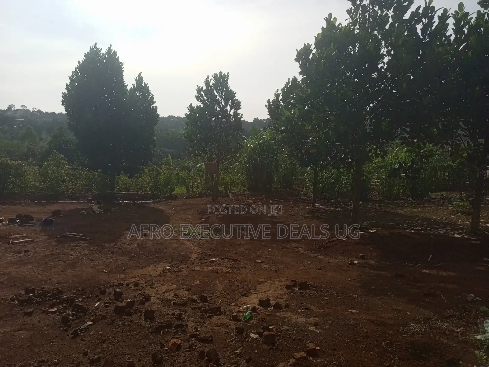 2 Square Miles at Nakasongola Kakooge on Sale