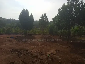 2 Square Miles at Nakasongola Kakooge on Sale