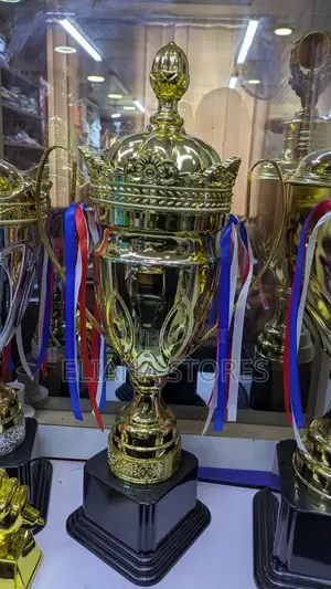 Heavy Medium Stainless Steel Collective Trophy