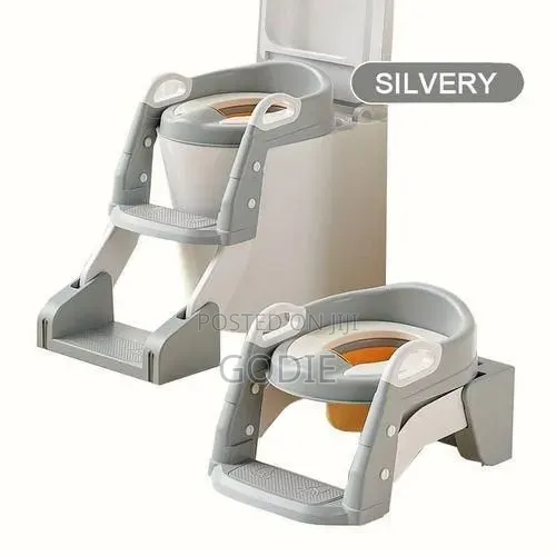 2in1 Toilet Potty Training Seat With Step Stool Ladder