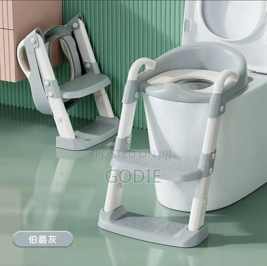 2in1 Toilet Potty Training Seat With Step Stool Ladder