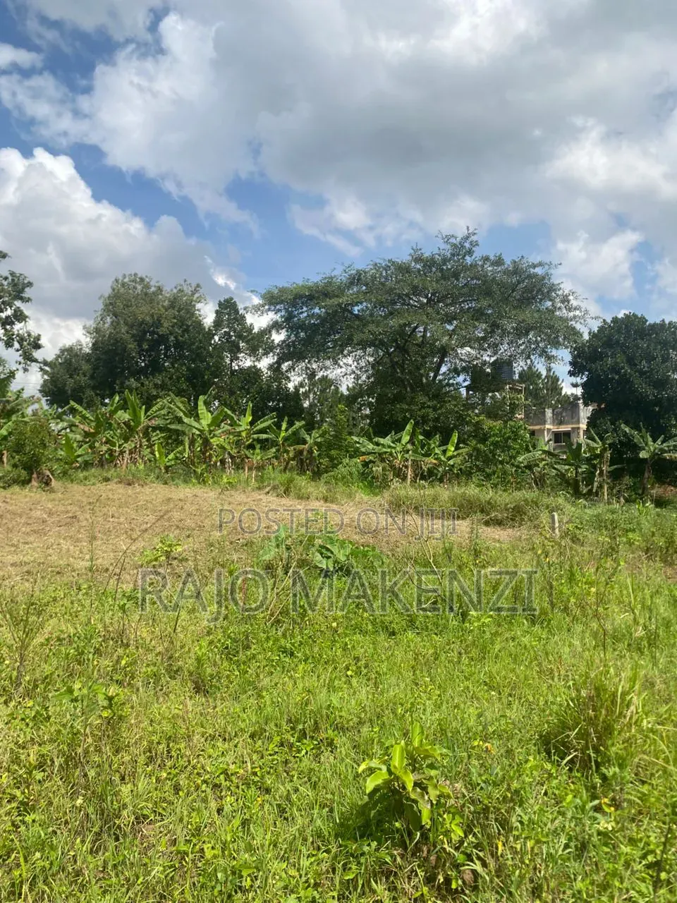 Kira Nsasa Land 50 by 100