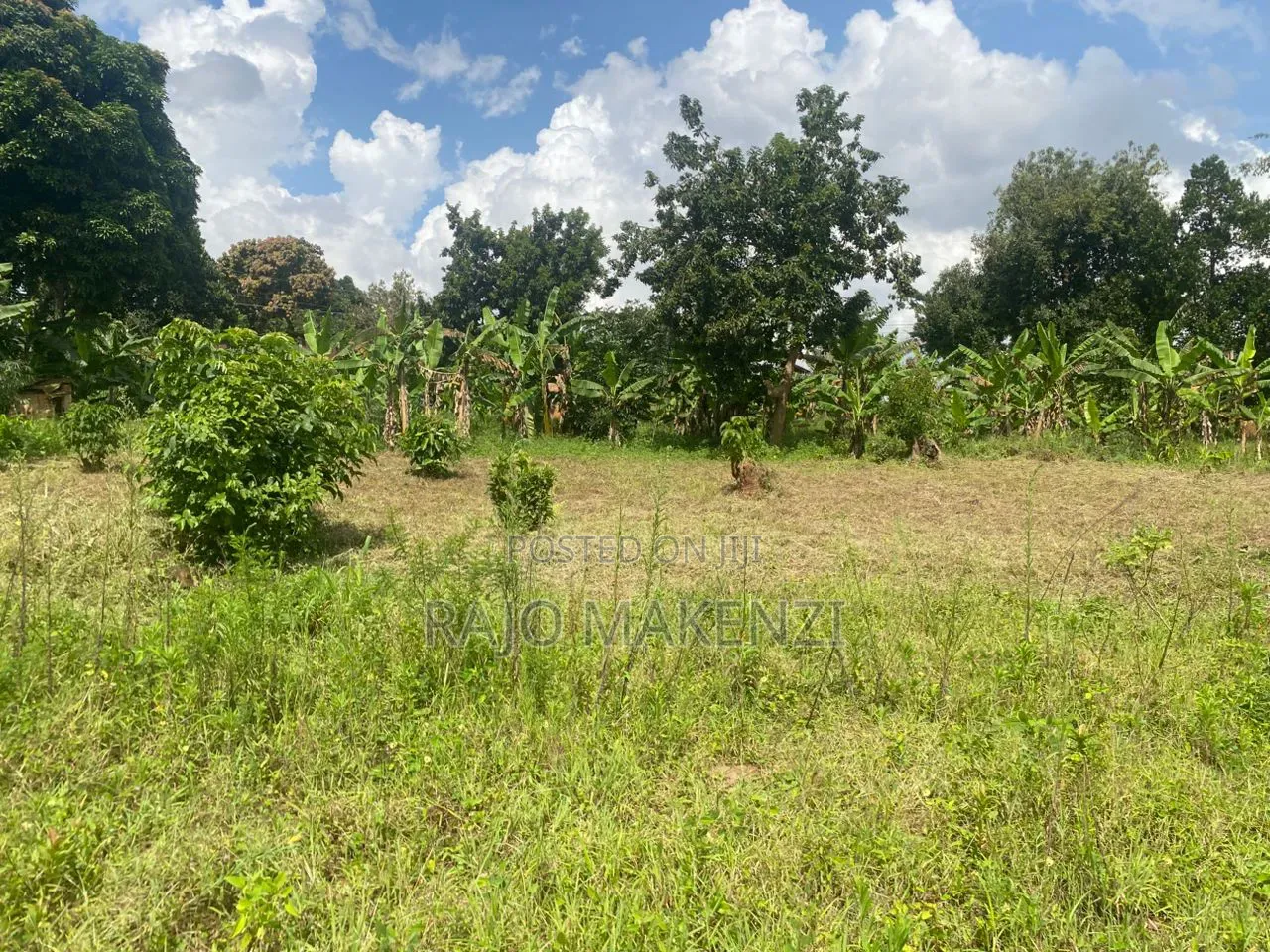 Kira Nsasa Land 50 by 100