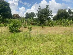 Kira Nsasa Land 50 by 100