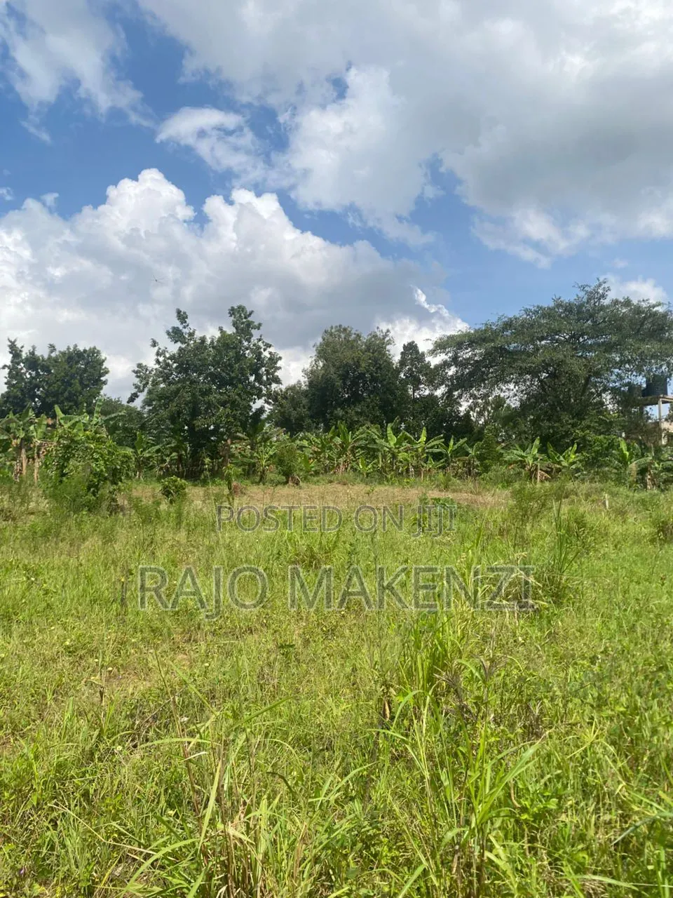 Kira Nsasa Land 50 by 100
