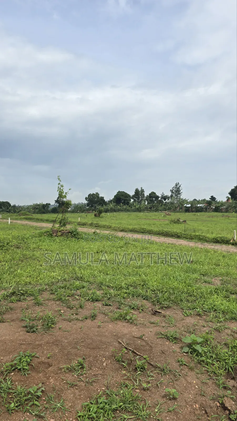 Titles Land Plots at Kakiri Town Estate