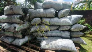 Durable Charcoal From Hard Wood