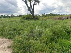 Agricultural on Sale