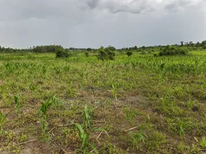 Agricultural on Sale