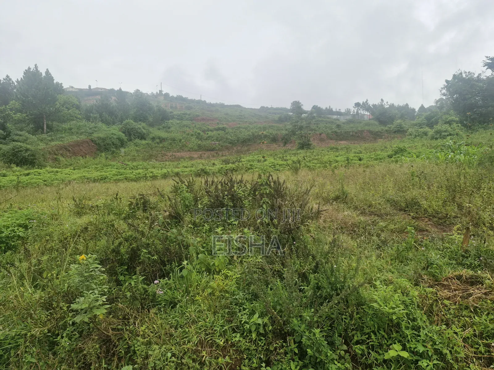 2 Plots in Jinja Near King's Palace of Busoga
