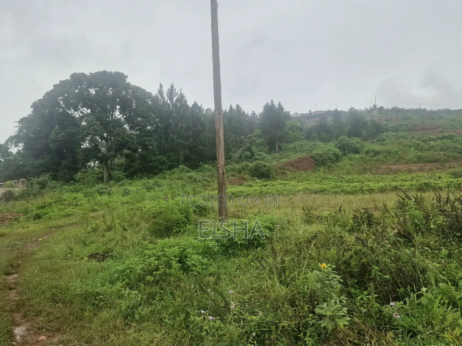 2 Plots in Jinja Near King's Palace of Busoga