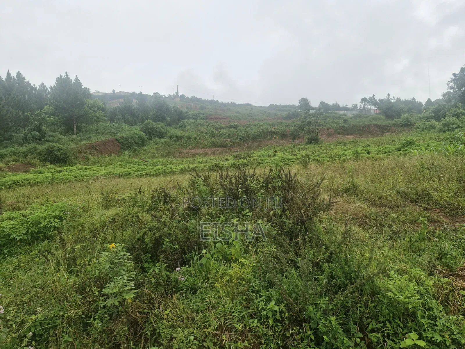 2 Plots in Jinja Near King's Palace of Busoga