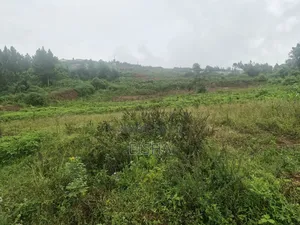 2 Plots in Jinja Near King's Palace of Busoga