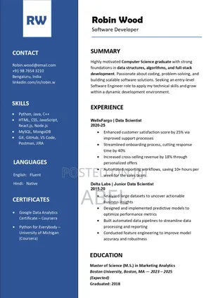 A Professional Looking Cv