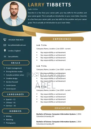 A Professional Looking Cv