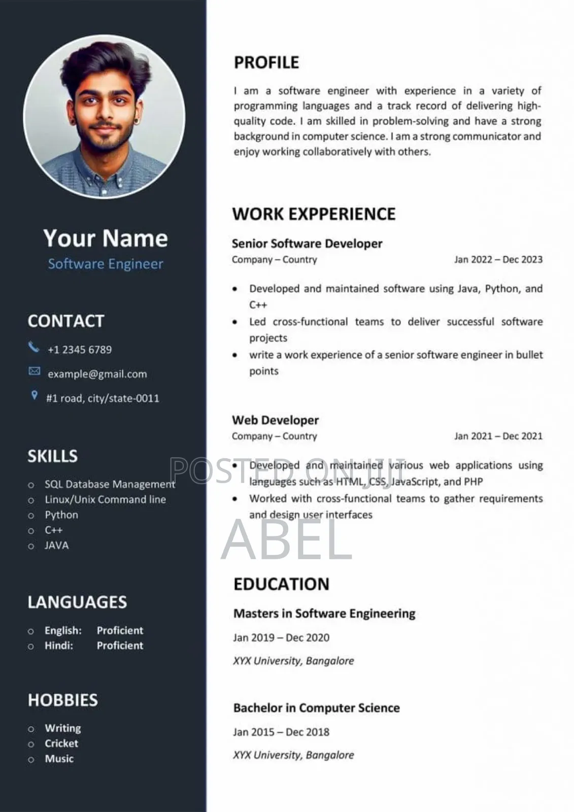 A Professional Looking Cv