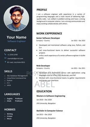 A Professional Looking Cv