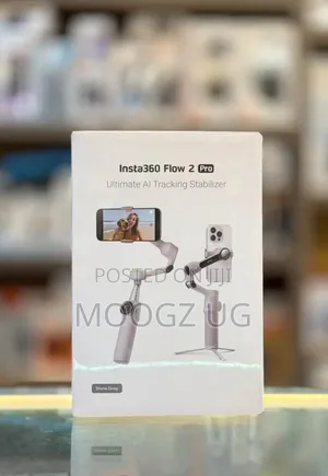Insta360 Flow 2 Pro Grey