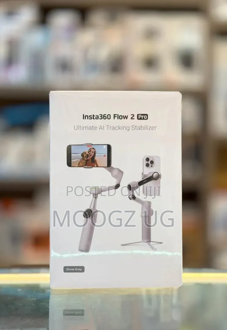 Insta360 Flow 2 Pro Grey