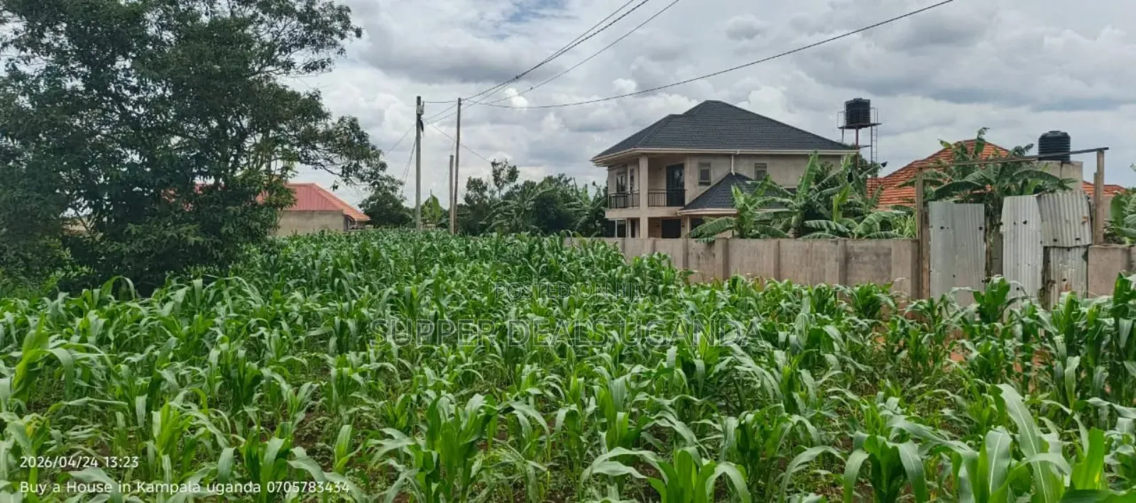 50by50ft Plot for Sale in Gayaza