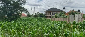 50by50ft Plot for Sale in Gayaza