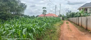 50by50ft Plot for Sale in Gayaza