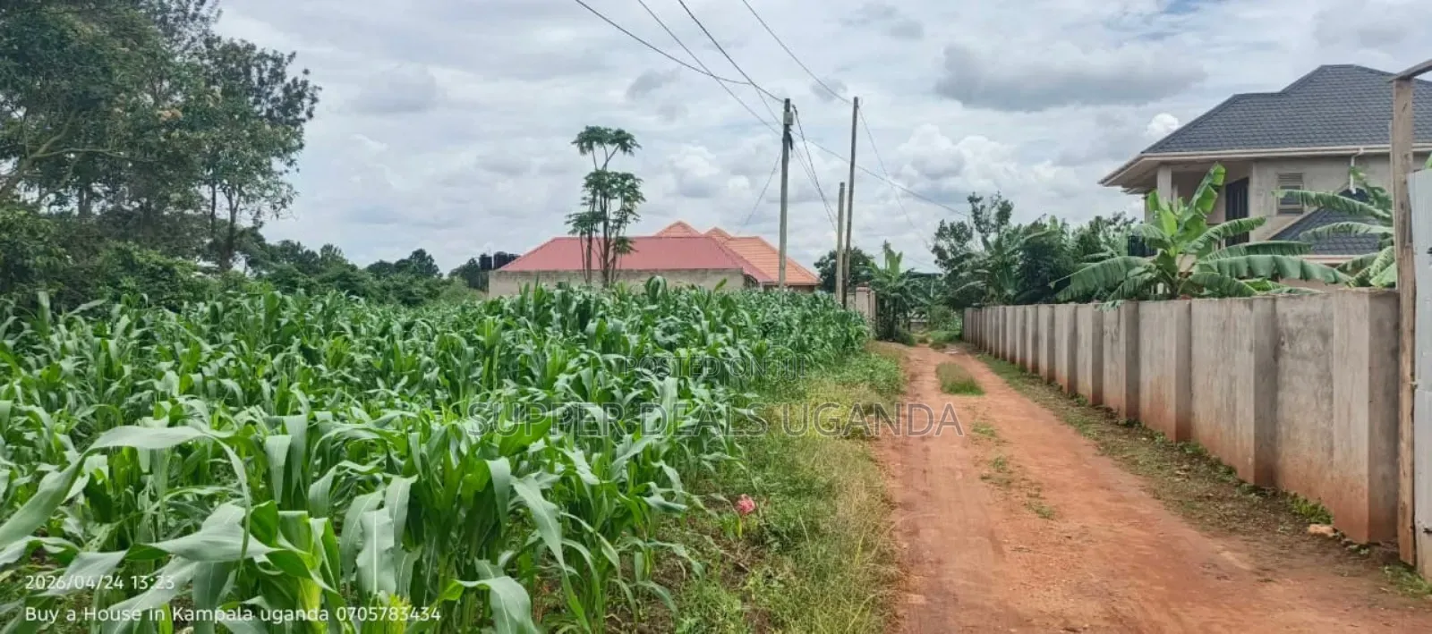 50by50ft Plot for Sale in Gayaza
