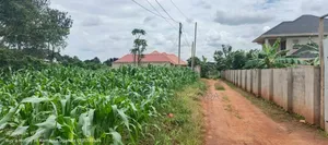 50by50ft Plot for Sale in Gayaza