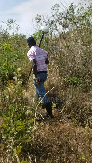 Land Surveyor