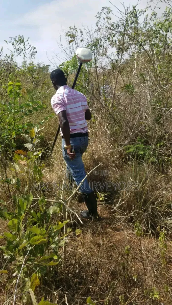 Land Surveyor