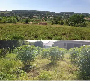 Land on a Quick Sale in a Strategic Area