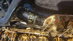 Saxopone Safeties Band