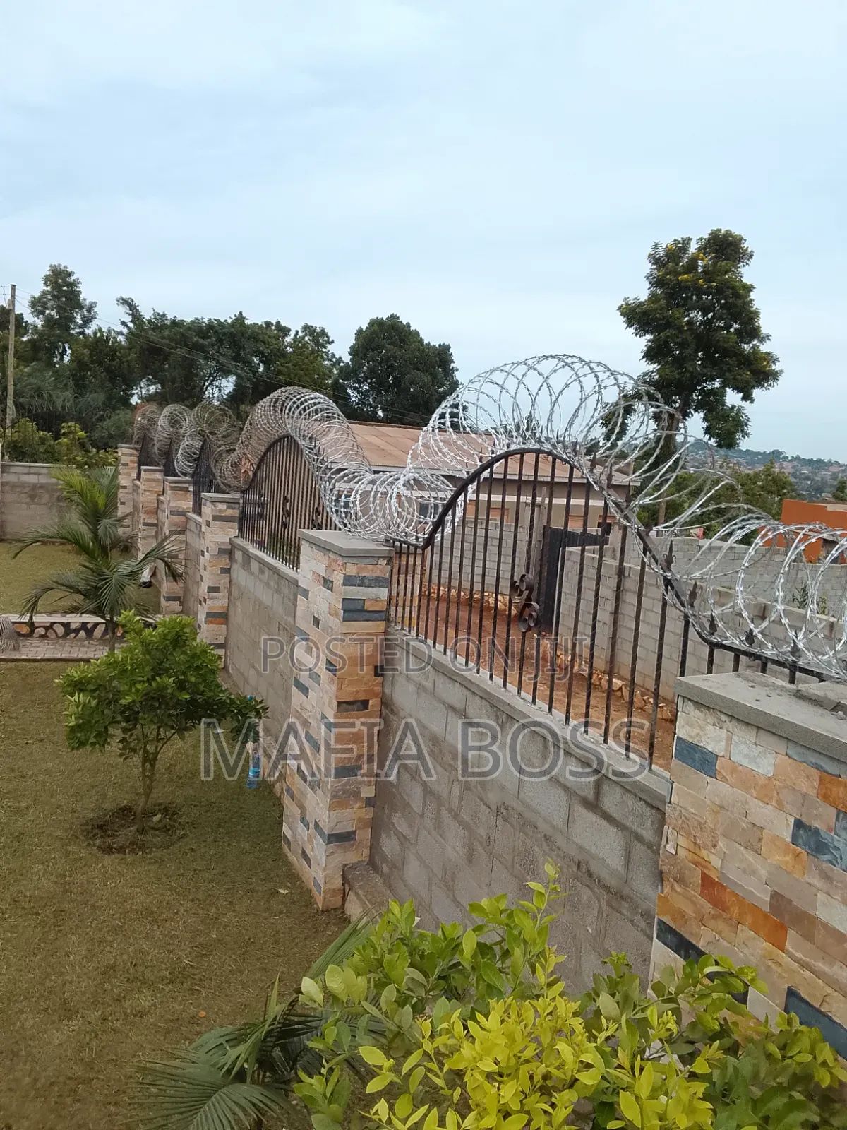 Rozarwire or Electric Fence