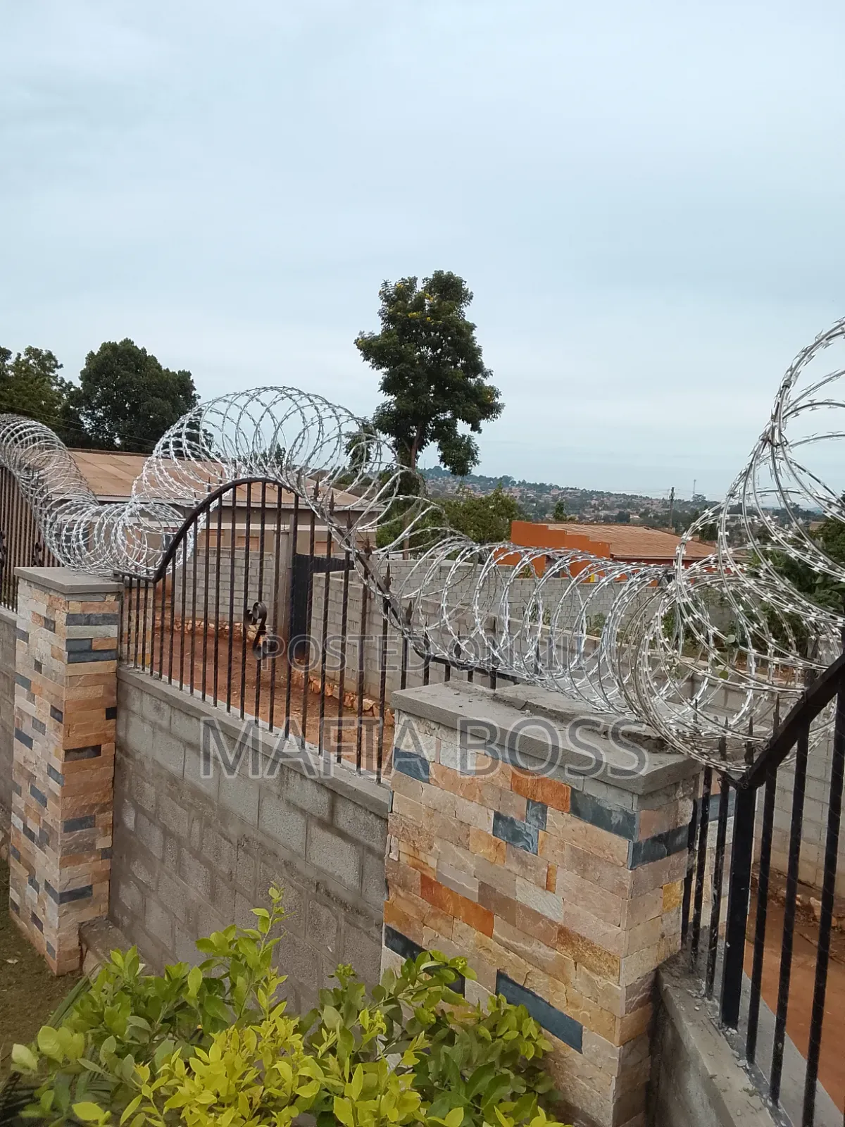 Rozarwire or Electric Fence