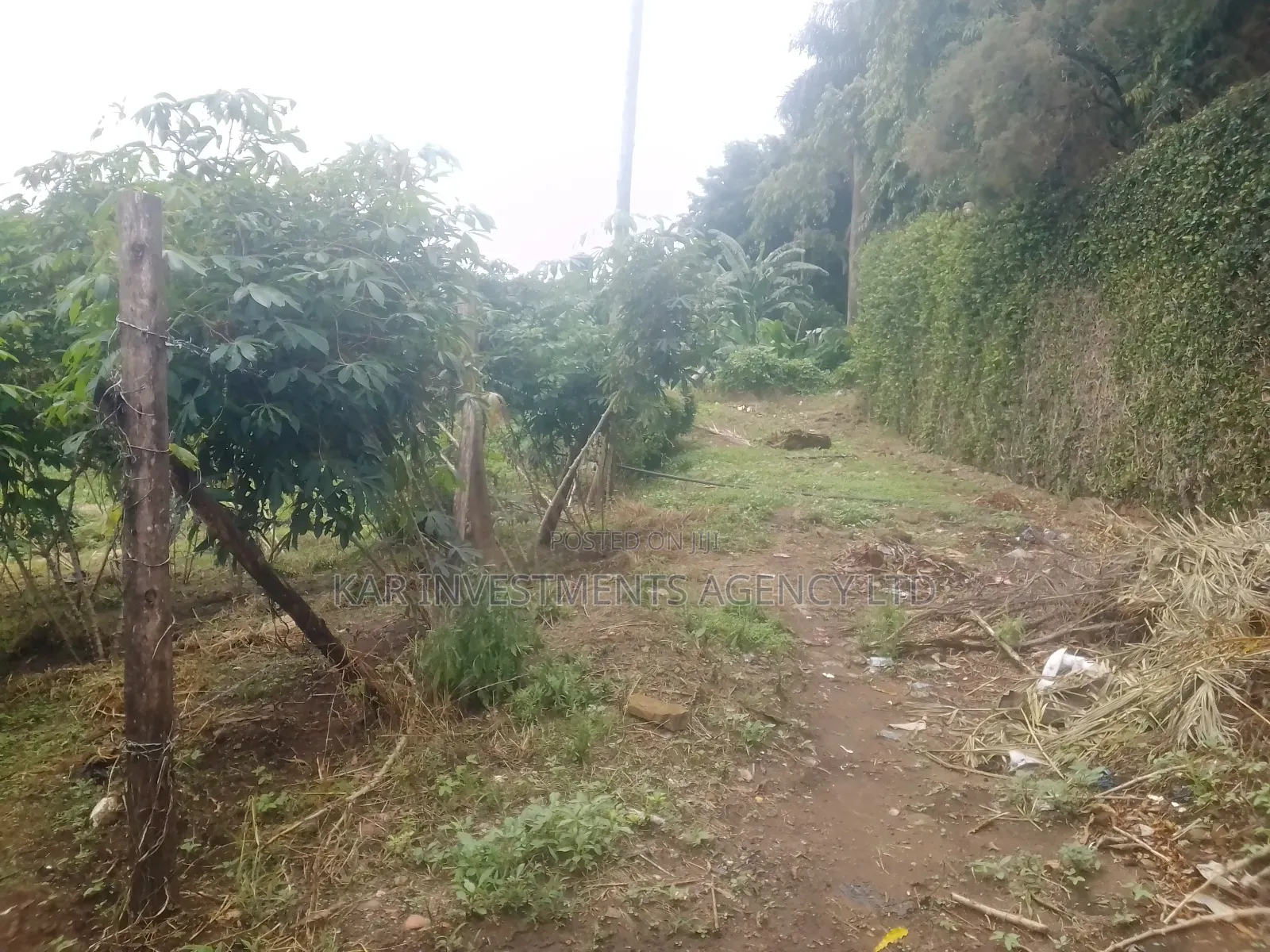 Plot for Sale