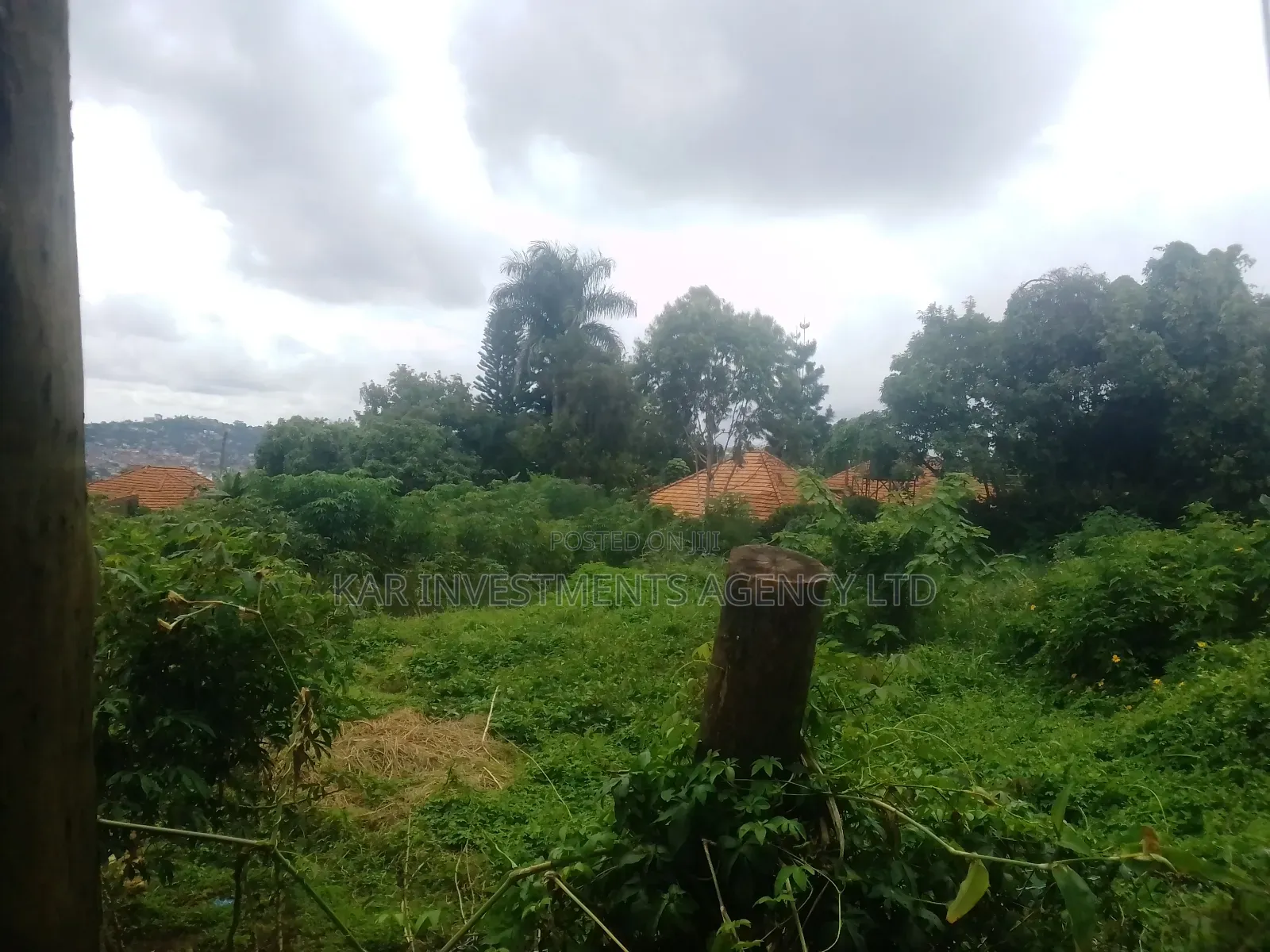 Plot for Sale