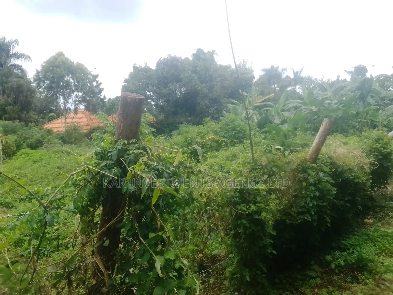 Plot for Sale