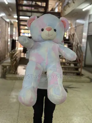 Rainbow Teddy Bear - Big Sized