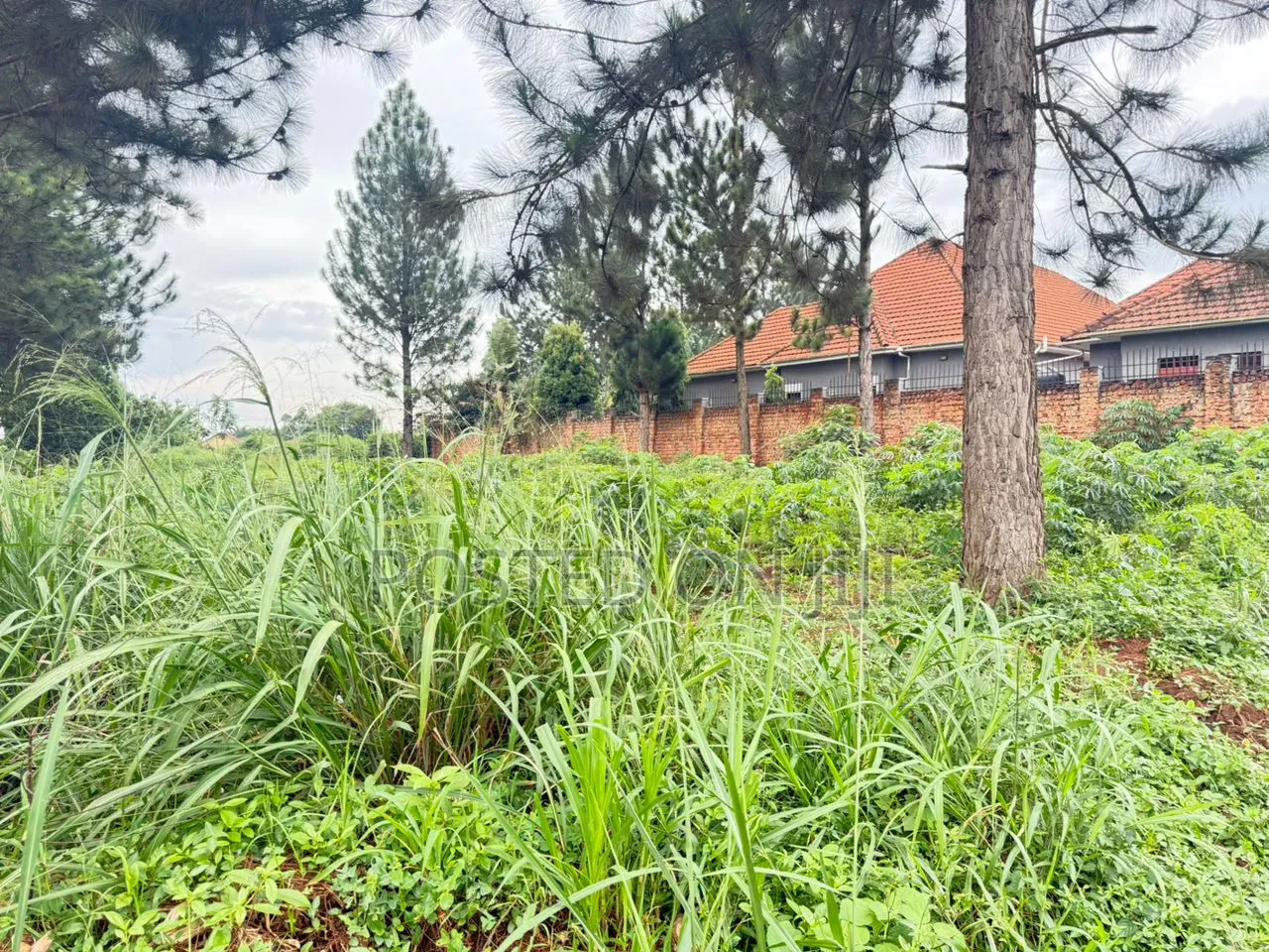 Kira 17 Decimals for Sale 97m Private Mailo Land Title